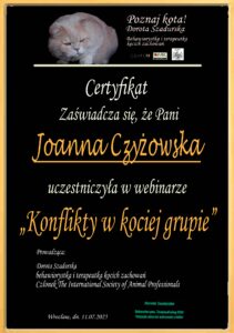 Konflikty - certyfikat_page-0001