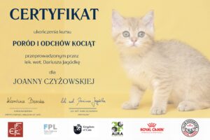 Certyfikat - poród i odchów kociąt