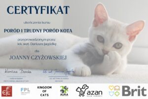 Certyfikat - poród i trudny poród